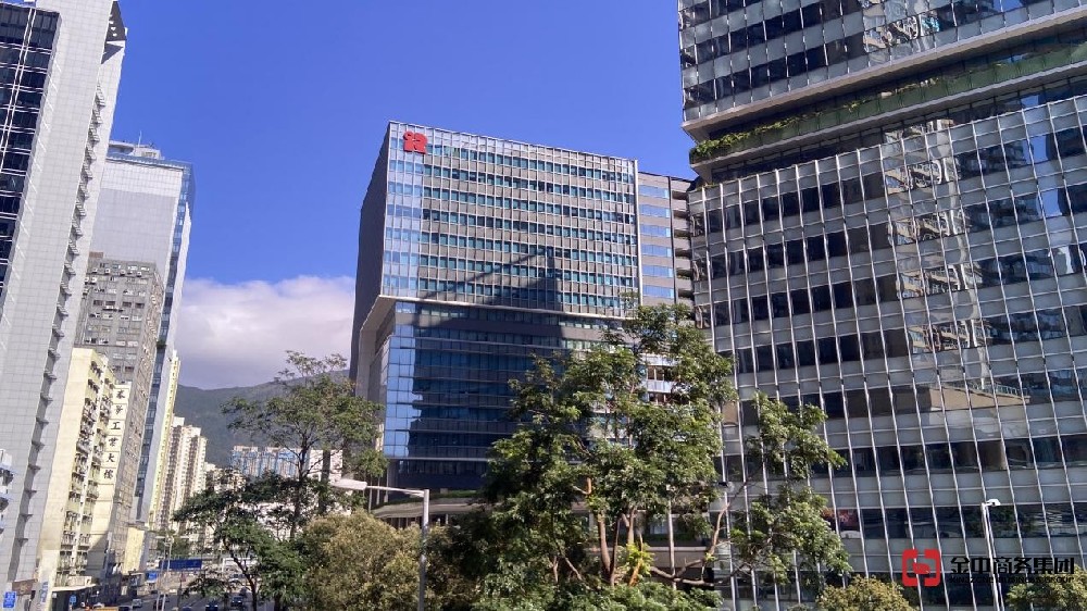 香港公司審計中的審計意見代表什么？